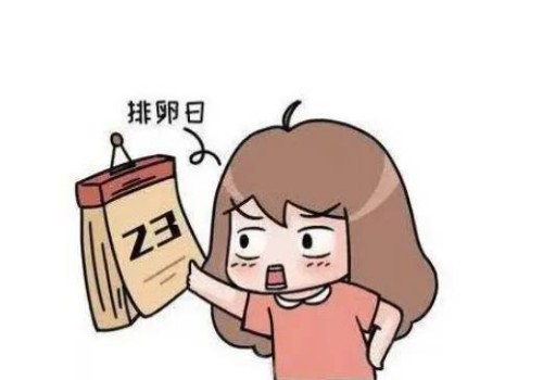 湖州试管助孕公司：卵巢老化还能生孩子吗？为了孩子的健康你要了解的知识
