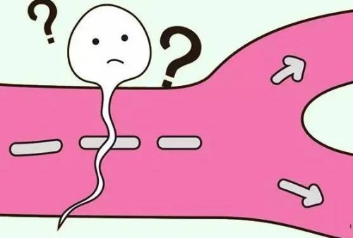 湖州助孕：2023广中医一附院试管婴儿生孩子指南，一文了解助孕成功率多少
