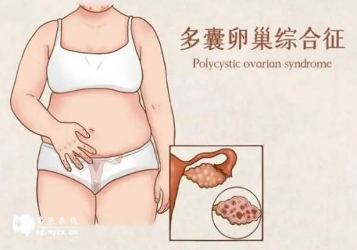 湖州助孕试管供卵代怀：﻿宝宝不爱喝水可以煮苹果水喝吗，宝宝喝有四大功效