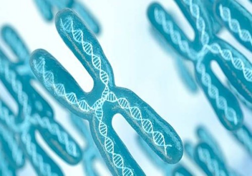 中医不孕不育的治法是什么？三种中医治疗法要了解