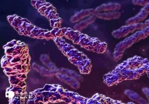 孕妇能不能空腹吃叶酸,空腹吃叶酸有什么影响